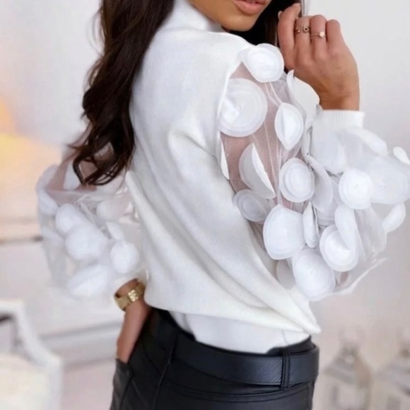 White Top w/Sheer Sleeves - Picture 2 of 3